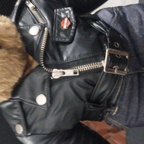 Harley Davidson bear - Picture 8 of 14